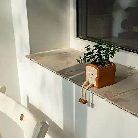 Apartament Cozy In
