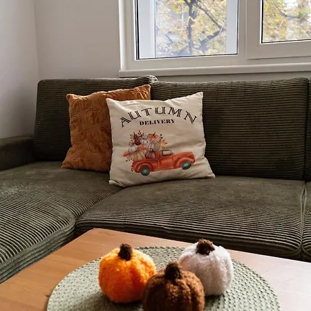 Cozy In Apartament